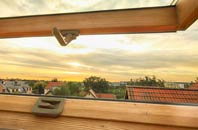 rated Bramdean roof window companies